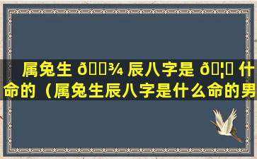 属兔生 🌾 辰八字是 🦊 什么命的（属兔生辰八字是什么命的男孩）